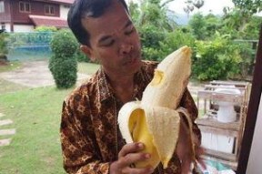 大香蕉国产成人,揭秘国内成人影视产业的崛起与挑战