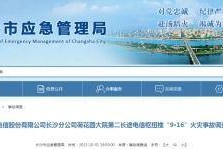 国产a级一级久久毛片,揭秘一级久久毛片背后的故事