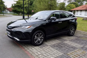 国产cdts,引领科技潮流的创新力量