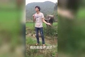 国产午夜福利视频在线,揭秘国内私密娱乐产业现状